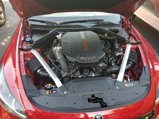 Just added Torque Motorsports air intakes on my Kia Stinger GT 2 and the bay looks cleaner. Thanks, everyone at Torque.