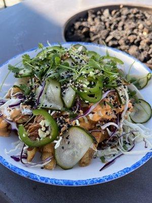 Loaded Hoisin Fries.