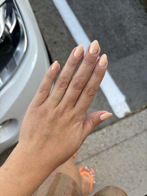 Gel Nails DND French Vanilla