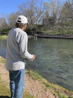 Look closely and you'll see the pond is full of fish!