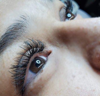 Classic Eyelash Extensions $100