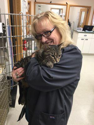 Sick kitty patient getting lots of love while being hospitalized.