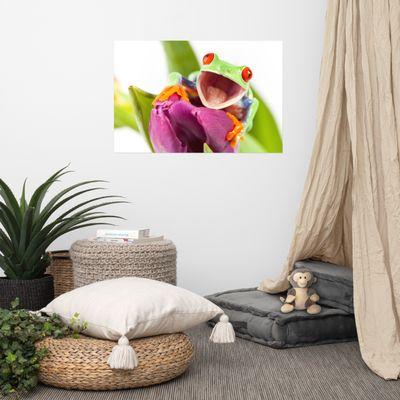 Smiling Green Red Eyed Tree Frog Purple Tulip Flower Bloom - Animal / Wildlife / Nature Photograph - Loose / Frameable / Unframed Wall Art