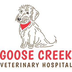 Goose Creek Veterinary Hospital