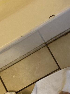 Bathtub had stains