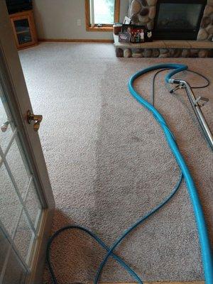 Mojo's Carpet & Upholstery Cleaning