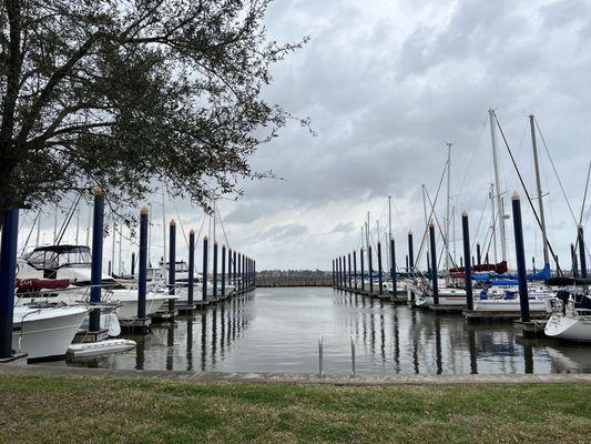 Windy day, Calm In the Canal.