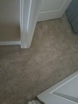 Seams in carpet from wise flooring and design