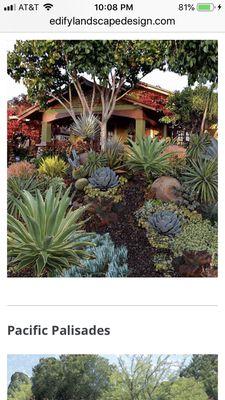 A Sloped landscape with a modern succulent look.