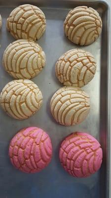 Conchas