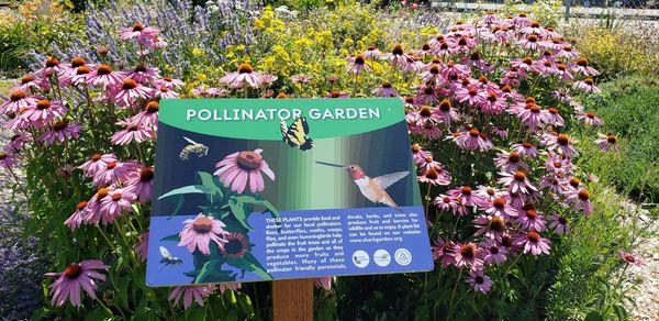 Pollinator Garden sign