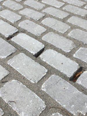 Exotic Pavers