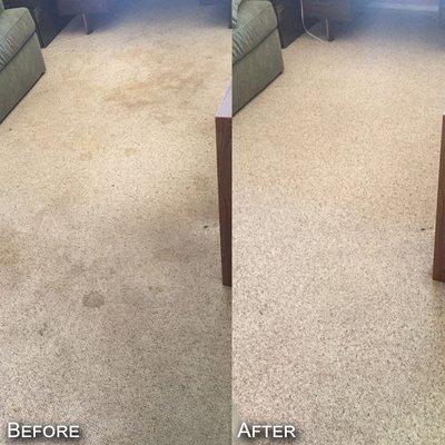 Brielle's Rug Cleaning - Carpet Cleaning before & after