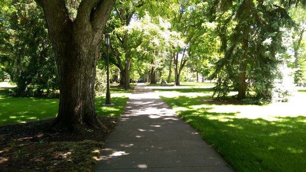 Pacific Northwest Book Editing