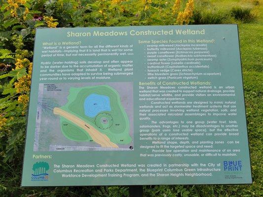 Wetland info