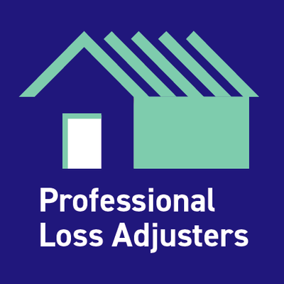 Professional Loss Adjusters