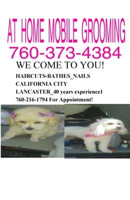 California City CA Mobile Dog Groomer We come to you! Lancaster CA pet grooming-grooming 93505