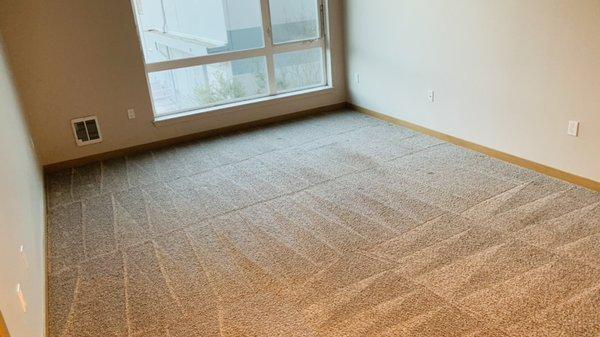 Carpet cleaning