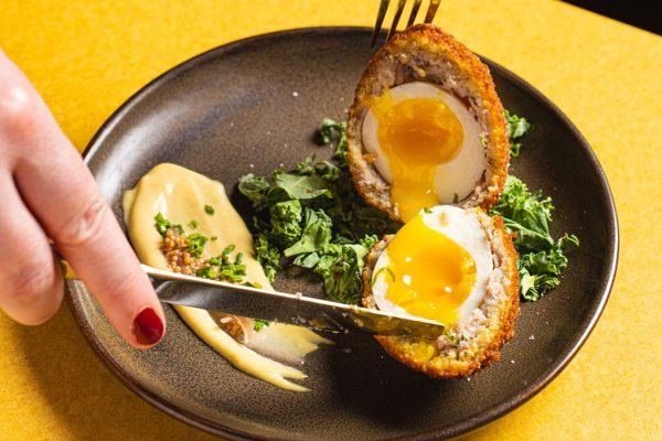 Scotch Egg