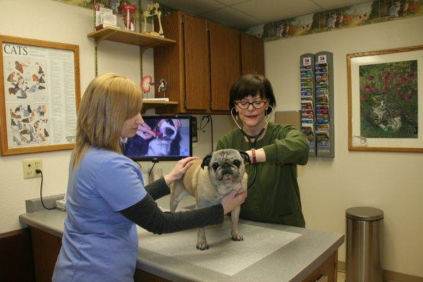 Dr. Geralyn Grieshaber with Deana-Veterinary Tecnician Assistant