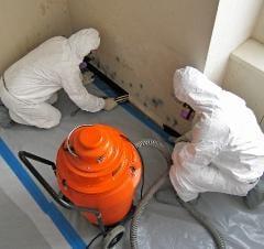 Mold Remediation