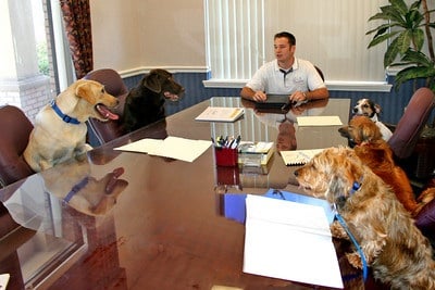 K-9 Perceptions boardroom meeting.