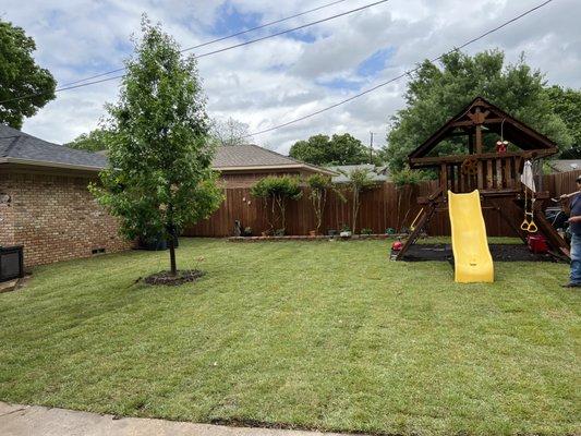 St. Augustine Sod Installartion