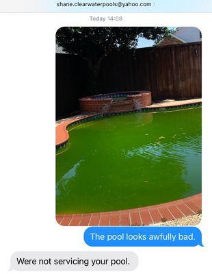 Green pool serviced by Shane three days prior.