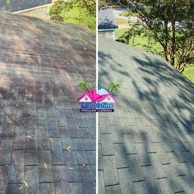 Shingle Roof Cleaning