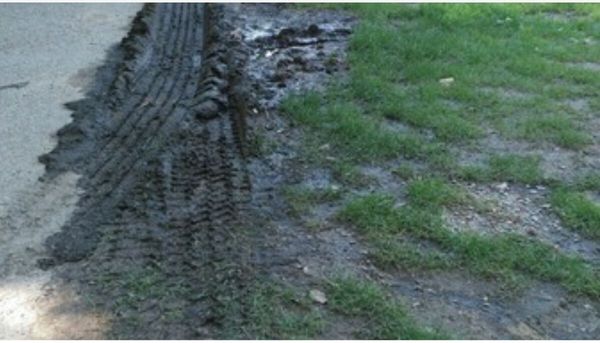 DPW trucks regularly destroy the grass.