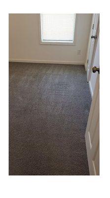 Busy Bee Carpet Cleaning