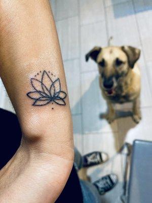 Lotus flower