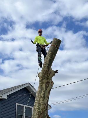 Kristian Tree Service