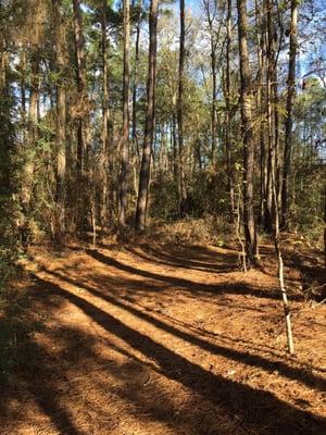 One of the short natural trails around the pond.