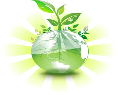 This is my logo for Earth Is Our Home Environmental Solutions. It represents nature and food