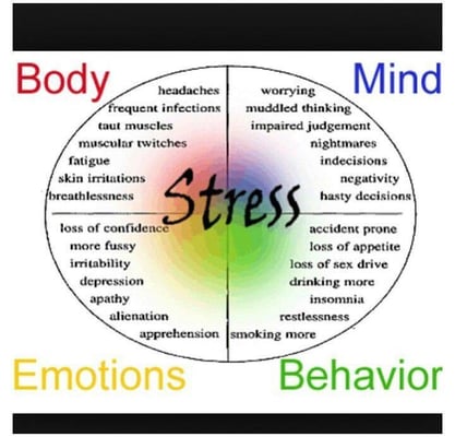 Stress affects us. Mind-Body-Spirit IGM® releases stress and helps us be our best self.