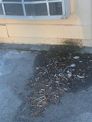 Trashed parking lot just in entry way!