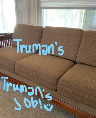 Truman's Great 7" cushions $325