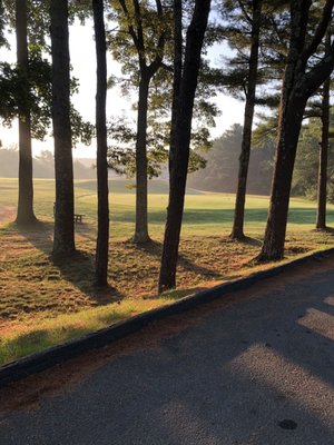 Summer Morning putting.