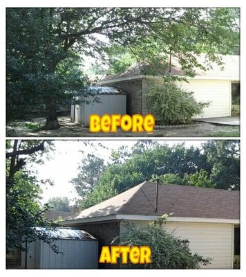 Limbs removed off garage and power lines