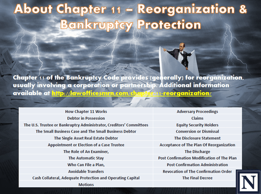 About Chapter 11 - Reorganization & Bankruptcy Protection