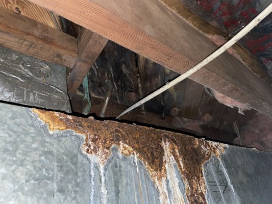 Rotting subfloor due to leak.