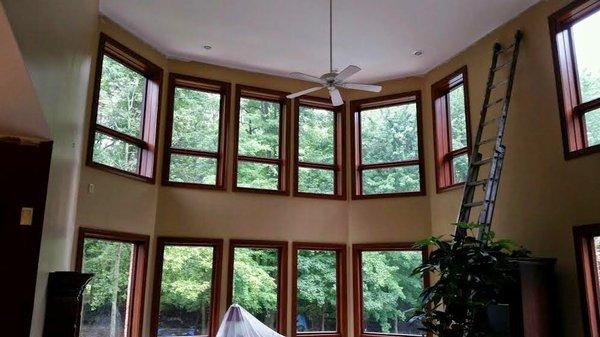 Replacement Windows