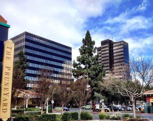 Pruneyard Towers - are on Campbell Avenue, half a block from the corner of Bascom Ave.