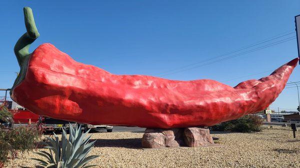 World's Largest Chile Pepper  11-20-2022