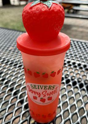 Seivers Concessions