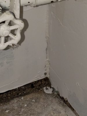 Mold in the food pantry