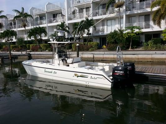 Savannah Cat Charters