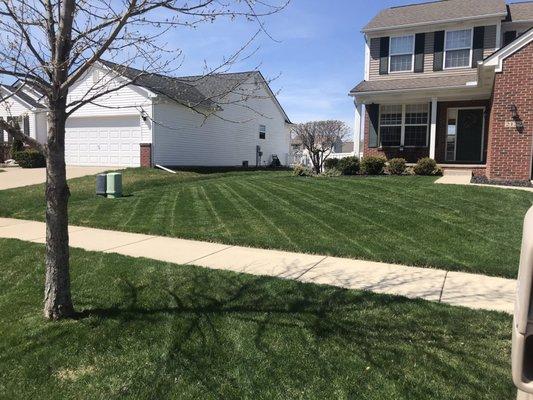 Dave's Complete Lawn Care And Snow Removal