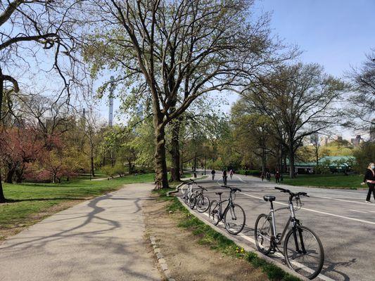 Historical New York City Central Park Scooter and Bike Tours